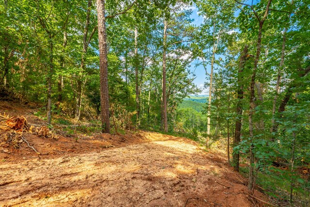 0 Clearview Dr Lot 3, Ringgold, GA 30736
