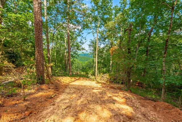 0 Clearview Dr Lot 3, Ringgold, GA 30736