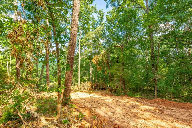 0 Clearview Dr Lot 3, Ringgold, GA 30736