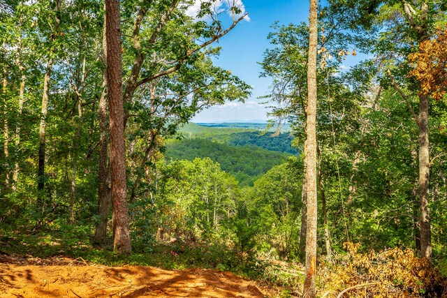 0 Clearview Dr Lot 3, Ringgold, GA 30736