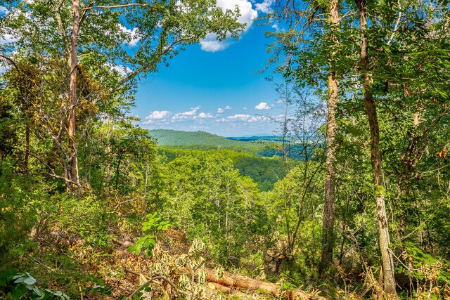 0 Clearview Dr Lot 3, Ringgold, GA 30736