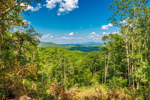 0 Clearview Dr Lot 3, Ringgold, GA 30736