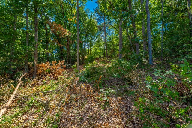 0 Clearview Dr Lot 3, Ringgold, GA 30736