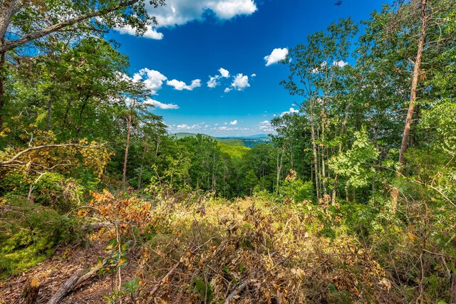 0 Clearview Dr Lot 3, Ringgold, GA 30736