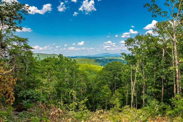 0 Clearview Dr Lot 3, Ringgold, GA 30736