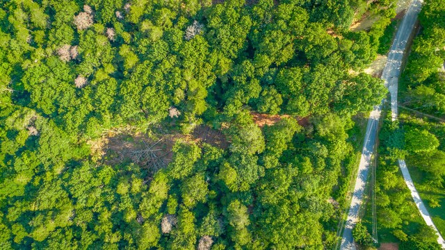 0 Clearview Dr Lot 3, Ringgold, GA 30736