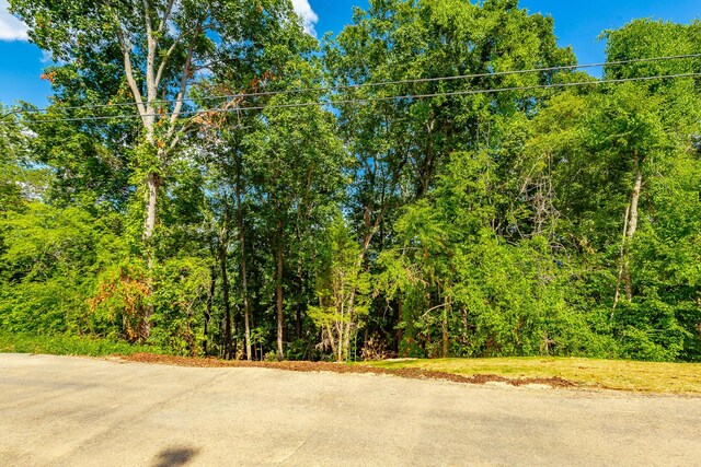 0 Clearview Dr Lot 3, Ringgold, GA 30736