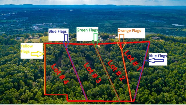 0 Clearview Dr Lot 3, Ringgold, GA 30736