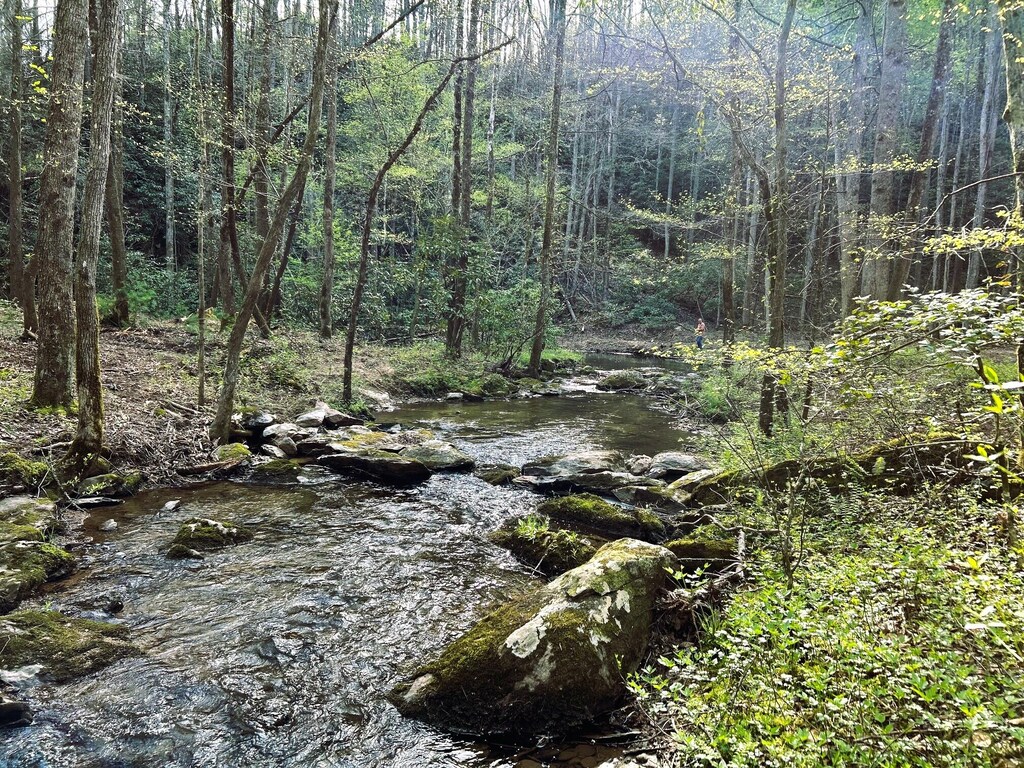 40ACRES Ivy Trl, Tellico Plains, TN 37385 - photo 1