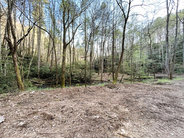 Listing photo 3 for 40ACRES Ivy Trl, Tellico Plains TN 37385