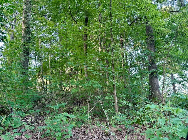 Listing photo 3 for 1AC Reed Strickland Ln, Spring City TN 37381