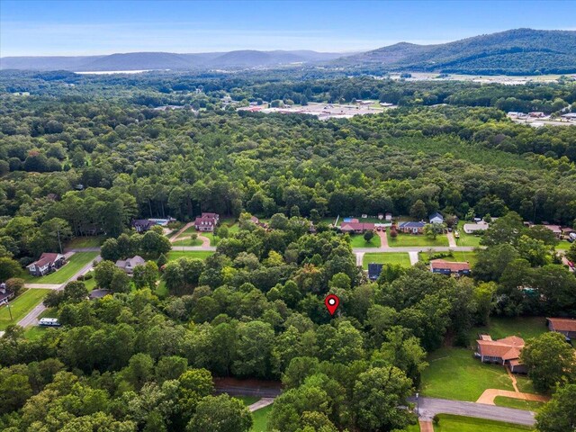 LOT78 Edgewood Dr, Scottsboro, AL 35769 - photo 6