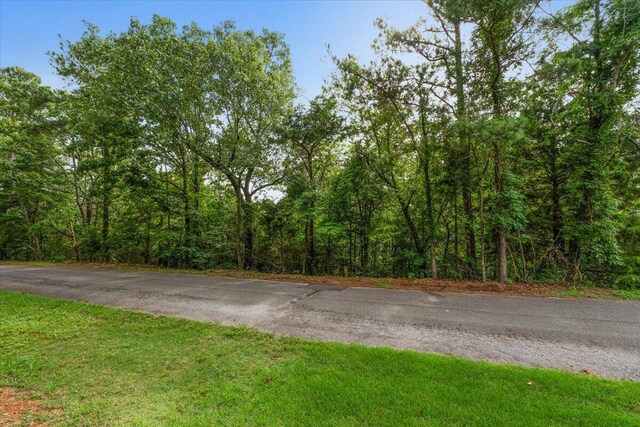 LOT78 Edgewood Dr, Scottsboro, AL 35769 - photo 15