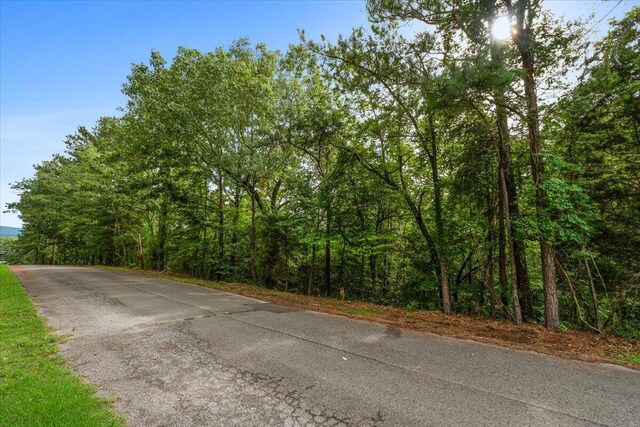 LOT78 Edgewood Dr, Scottsboro, AL 35769 - photo 16