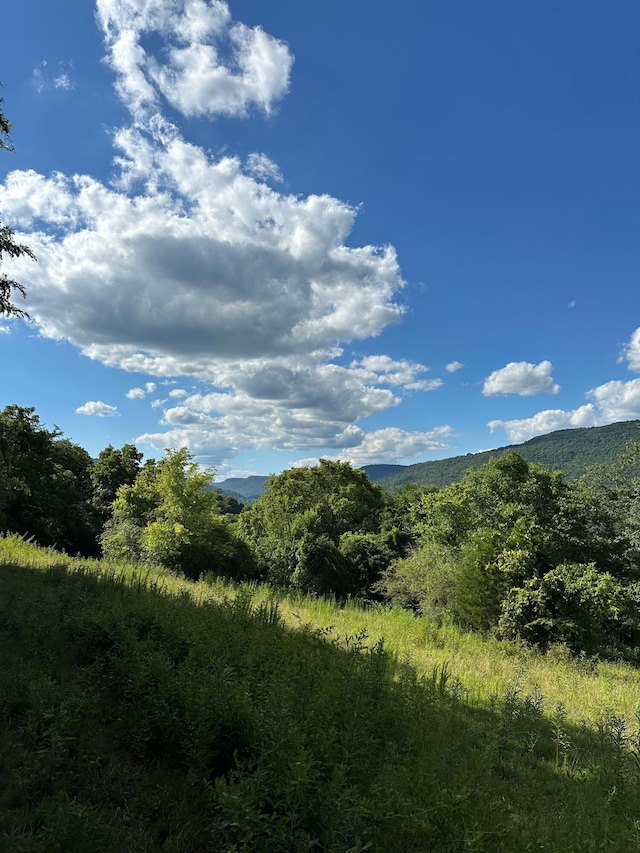 14 Battle Creek Rd, South Pittsburg, TN 37380