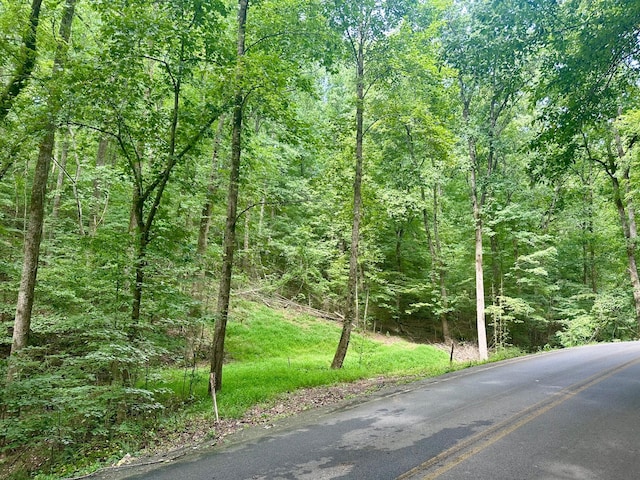 2012 S Gold Point Cir, Hixson TN, 37343 land for sale