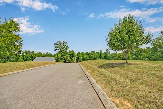 Listing photo 3 for 336 Hidden Forest Trl, Spring City TN 37381