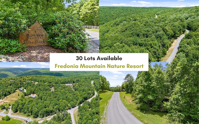 0 Fredonia Mtn, Dunlap TN, 37327 land for sale