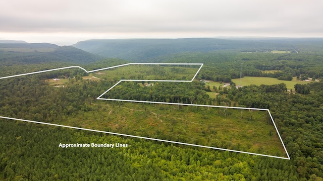 711 Lick Point Rd Lot 4, Sequatchie TN, 37374 land for sale