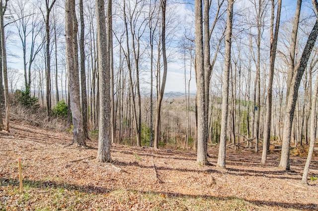 0 Winding Rdg Unit 40, Blairsville GA, 30512 land for sale