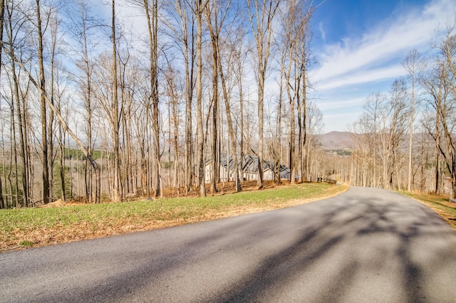 Listing photo 3 for 0 Winding Rdg Unit 40, Blairsville GA 30512