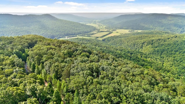 18 Old Harris Turnpike Rd, South Pittsburg, TN 37380