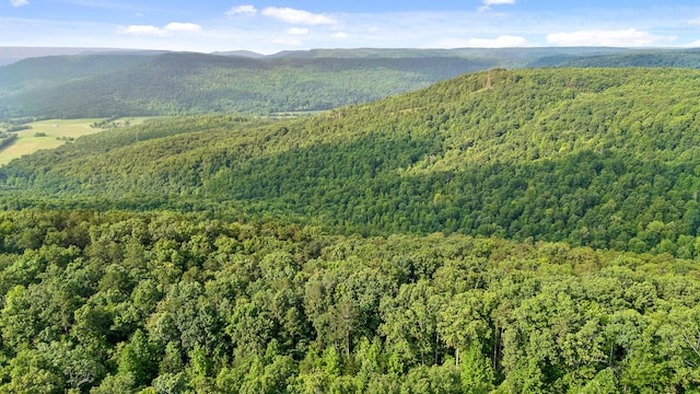 18 Old Harris Turnpike Rd, South Pittsburg, TN 37380