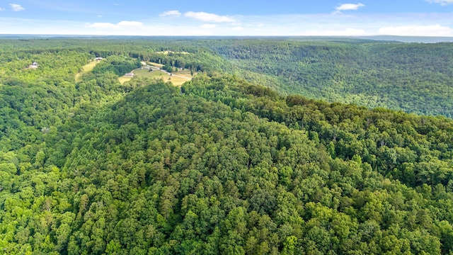 18 Old Harris Turnpike Rd, South Pittsburg, TN 37380
