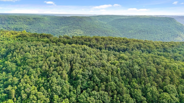 18 Old Harris Turnpike Rd, South Pittsburg, TN 37380