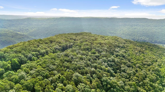 18 Old Harris Turnpike Rd, South Pittsburg, TN 37380