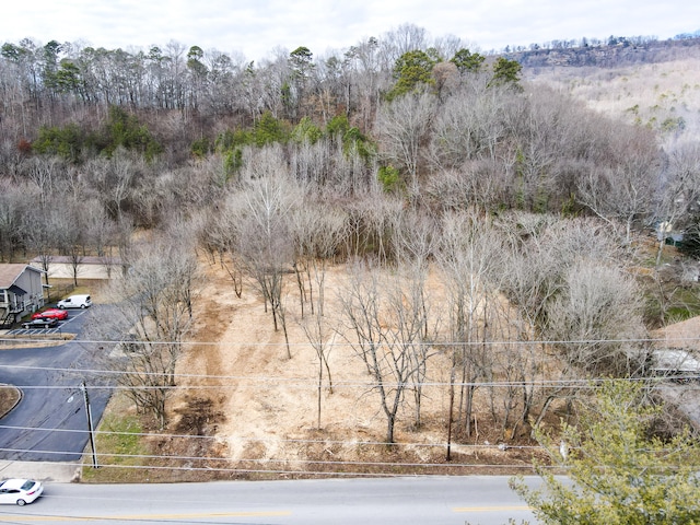 925 Mountain Creek Rd, Chattanooga TN, 37405 land for sale