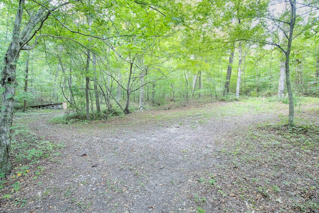 0 Old Mineral Springs Rd, Lafayette GA, 30728 land for sale