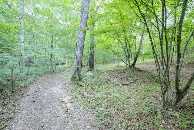 Listing photo 3 for 0 Old Mineral Springs Rd, Lafayette GA 30728