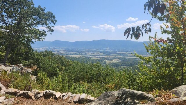 Lot310 Big Spring Gap, Pikeville, TN 37367 - photo 3