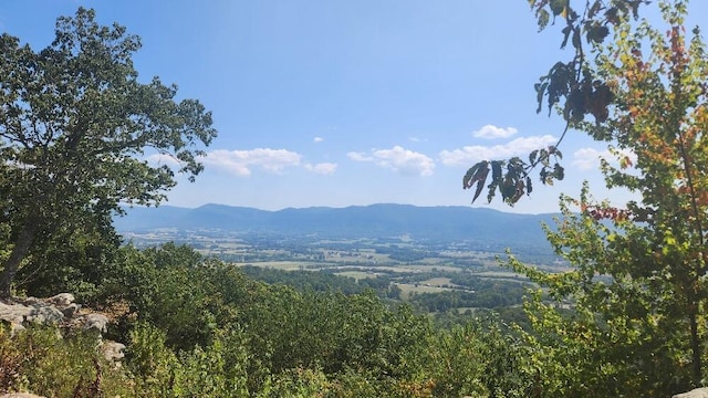 Lot310 Big Spring Gap, Pikeville, TN 37367 - photo 2