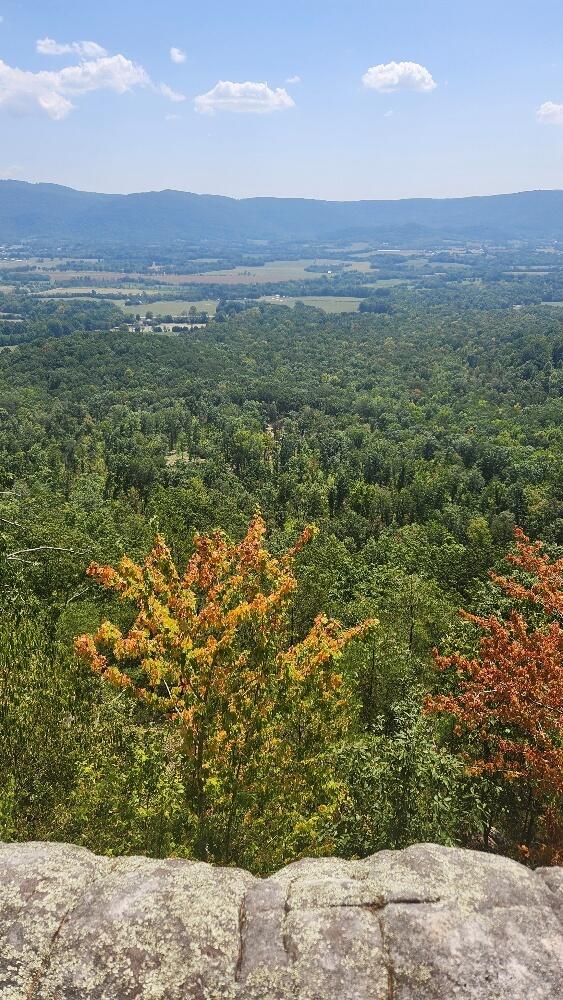 Lot310 Big Spring Gap, Pikeville, TN 37367 - photo 5