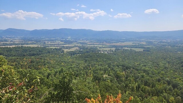 Lot310 Big Spring Gap, Pikeville, TN 37367 - photo 6