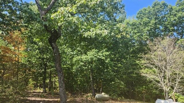 Lot310 Big Spring Gap, Pikeville, TN 37367 - photo 10