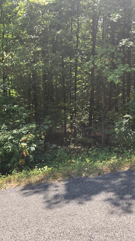 Lot310 Big Spring Gap, Pikeville, TN 37367 - photo 11