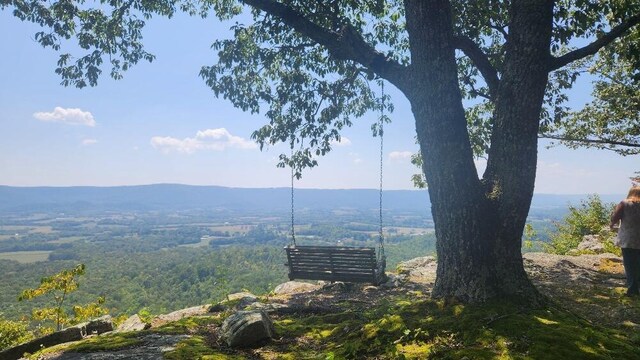 Lot310 Big Spring Gap, Pikeville, TN 37367 - photo 22