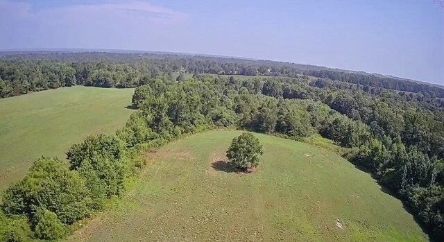 0 Woodland Dr, Ider, AL 35981 - photo 3