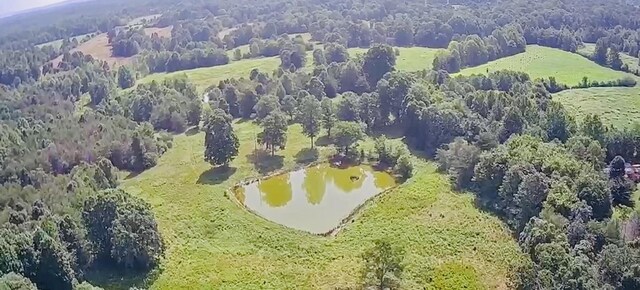 0 Woodland Dr, Ider, AL 35981 - photo 6