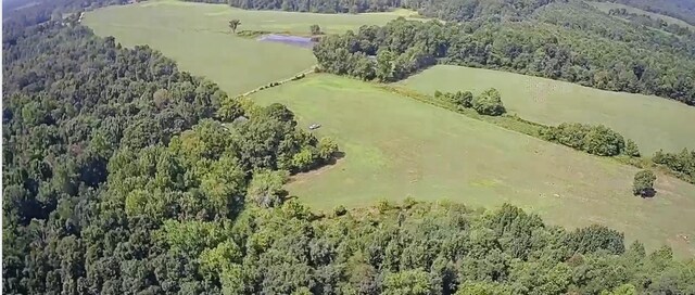0 Woodland Dr, Ider, AL 35981 - photo 7