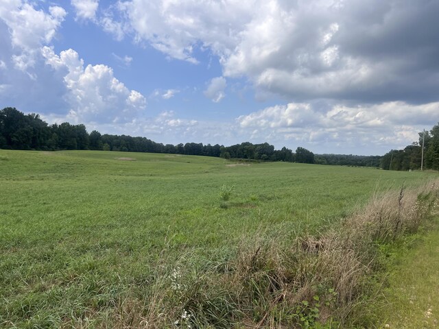 0 Woodland Dr, Ider, AL 35981 - photo 8