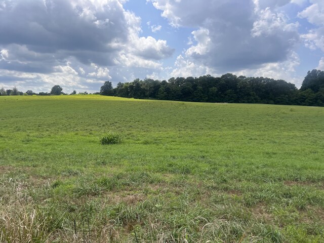 0 Woodland Dr, Ider, AL 35981 - photo 9