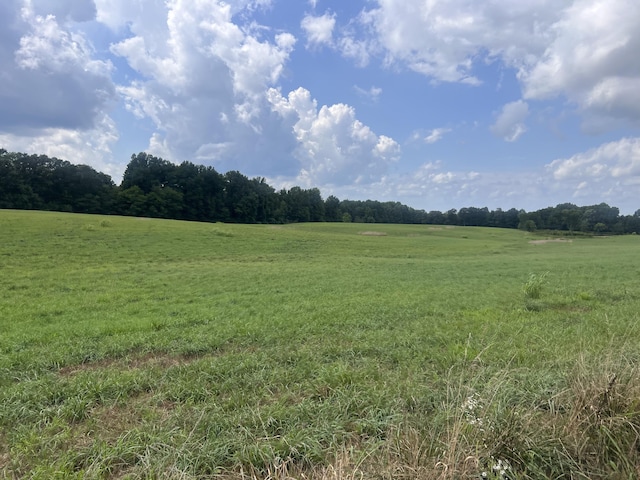 0 Woodland Dr, Ider, AL 35981 - photo 11