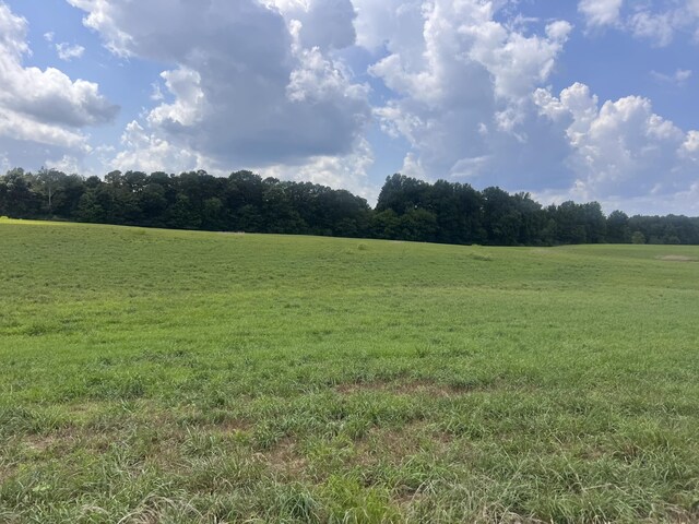 0 Woodland Dr, Ider, AL 35981 - photo 12
