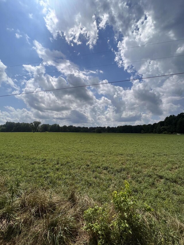 0 Woodland Dr, Ider, AL 35981 - photo 13