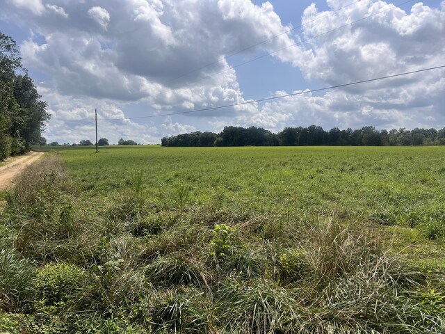 0 Woodland Dr, Ider, AL 35981 - photo 14