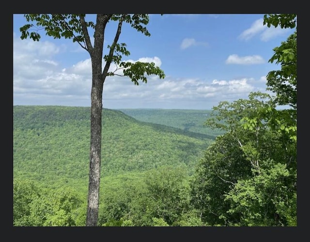 595 Compass Dr Unit Rb-104, Jasper, TN 37347 - photo 24
